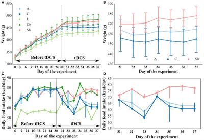 Repeated Transcranial Direct Current Stimulation Induces Behavioral, Metabolic and Neurochemical Effects in Rats on High-Calorie Diet